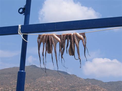 Drying Squid In Ios Folie Rufie Flickr