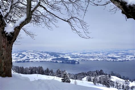Winter In Zug Switzerland The Top Of The Zugerberg Mountain Rewards