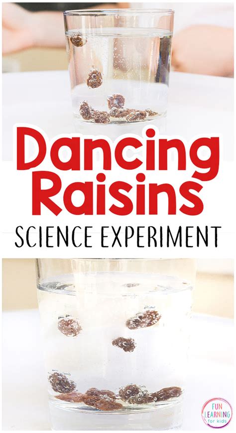 Dancing Raisins Science Experiment For Kids Artofit