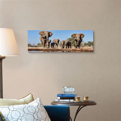African Elephants Running To Waterhole Mashatu Game Reserve Botswana Wall Art Canvas Prints