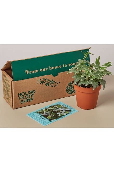 Give the gift of greenery with personalized botanical jewelry or a starter kit for new this painted planter with gold accents would be sweet sitting out on a desk or kitchen windowsill. 40 Best Gifts for Plant Lovers - Cute Plant Gift Ideas 2020