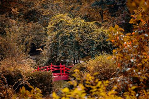 Red Bridge Over The Lake In The Japanese Garden Stock Image Image Of