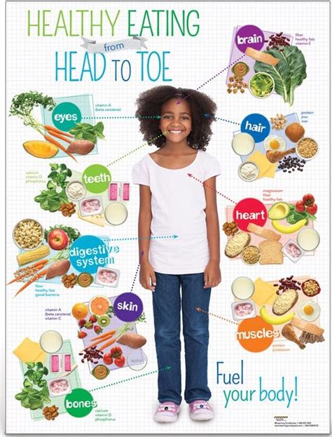 Healthy food chart for kids lewisburg district umc. Say no to Junk Food Poster for school | Kids nutrition ...