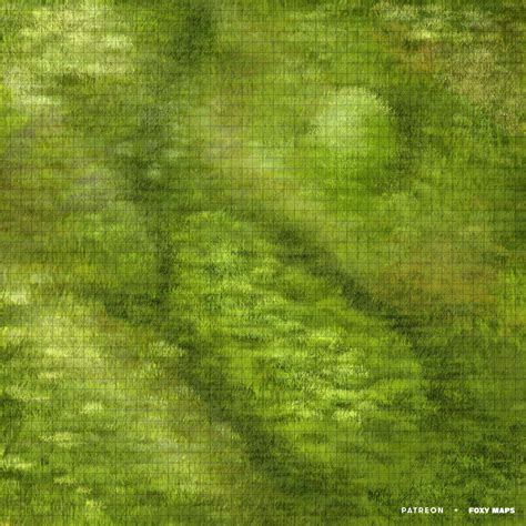 Grassland 50x50 Battlemap Oc Art Rdnd