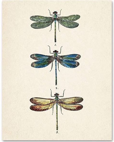 Dragonfly Artwork Dragonfly Decor Vintage Dragonfly Dragonfly Prints