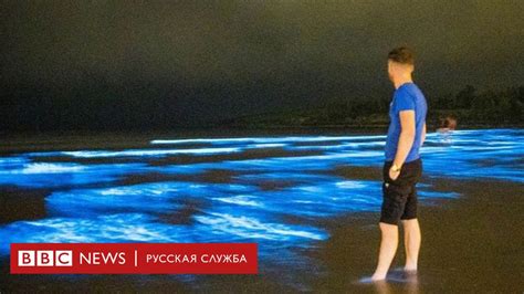 Ночные посетители пляжа в Ирландии увидели редкое природное светошоу