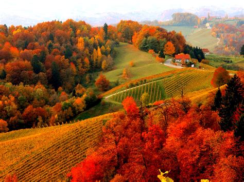 Free Download Houses Foliage Fall Autumn Mountain View Lovely Hills