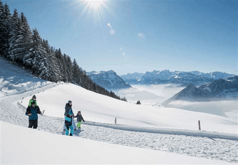 Popular Ski Resorts Near Zurich Touring Switzerland