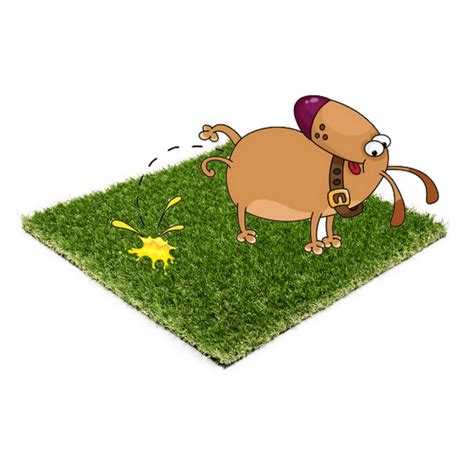 Cutting the edges of the artificial turf and. Puppy Pee Pads - Top Dog Turf - Training Pee Pads & Porch ...