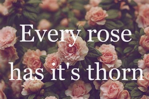Every good situation happens with misfortune or adversity. every rose has its thorn on Tumblr