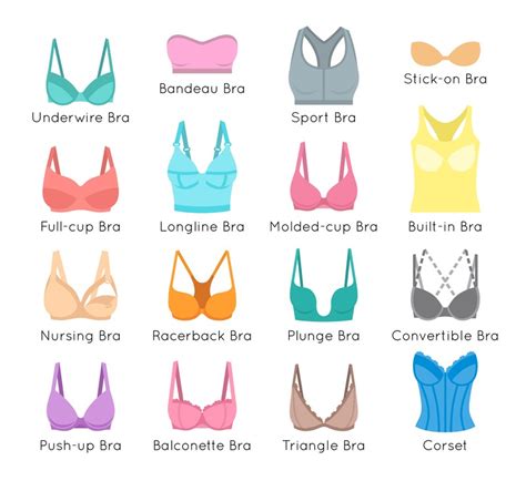 Different Bra Sizes Chart