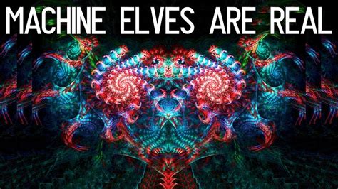 Are Machine Elves Real What About Ghosts Gods Spirits Souls Aliens