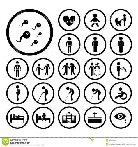Human Life Icon Stock Vector Image Of Process Month 51288416