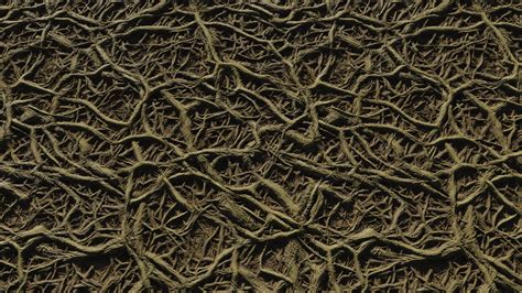 Roots Texture Google Search In 2021 Texture Roots Google Search