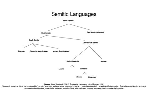 Linguistic Groups Keys To Understanding The Middle East