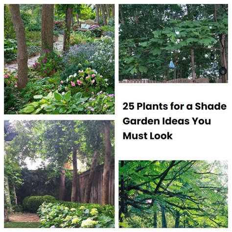 25 Plants For A Shade Garden Ideas You Must Look Sharonsable