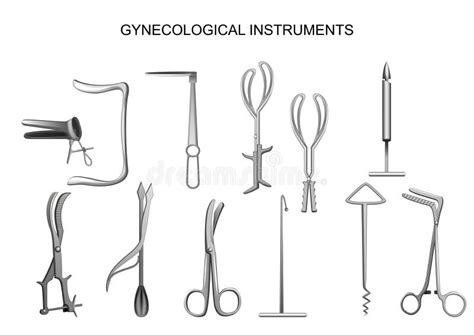 Gynecological Instruments Stock Illustration Illustration Of Biology