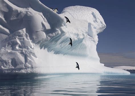Antarctic Peninsula Cruise Audley Travel Us