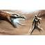 Fantasy Art Warrior Dragon Wallpapers HD / Desktop And Mobile Backgrounds