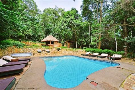 The Rainforest Lodge Pool Pictures And Reviews Tripadvisor