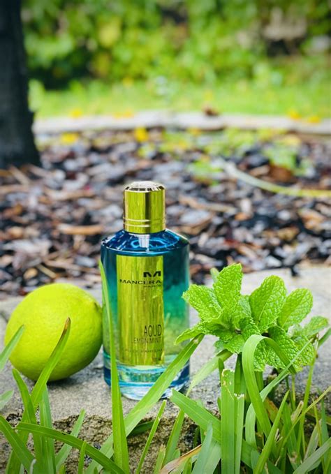 Aoud Lemon Mint Mancera Parfum Ein Es Parfum Für Frauen Und Männer 2016