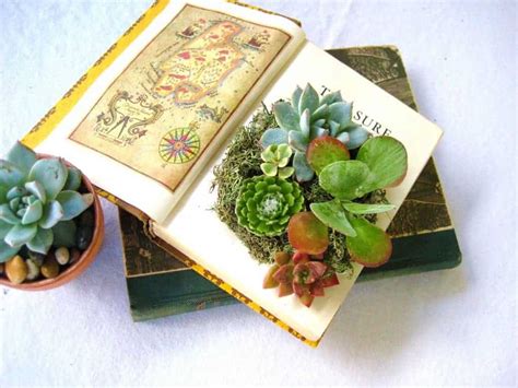 12 Must Have Succulent Books Best Reads For Any Level