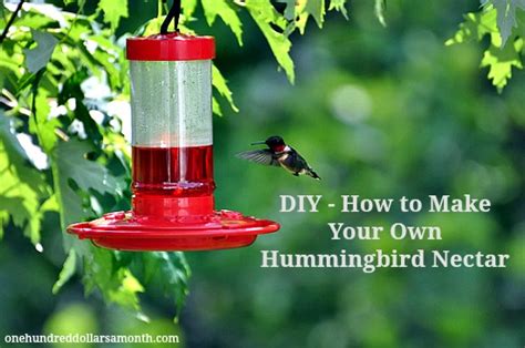 The easiest way to make hummingbird food is to put 4 cups of water on the stove and bring to a boil. DIY Hummingbird Nectar Recipe