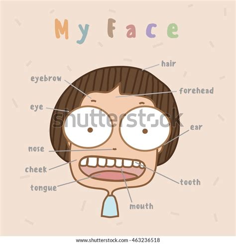 Cute Boy Vocabulary Part Faceillustration Stock Vector Royalty Free
