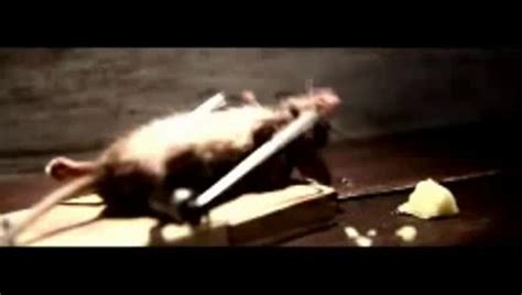 Nolans Cheddar Commercial Mouse Video Dailymotion