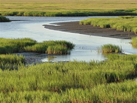 Tidal Marsh Photograph By Al Powell Photography Usa Fine Art America