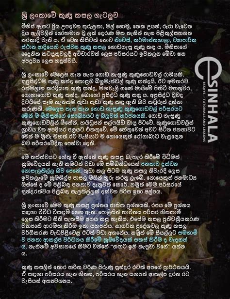 Simple Essay About Natural Disasters In Sri Lanka Images