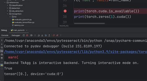 pytorch torch cuda is available 在PyCharm项目内返回True在Terminal项目外返回False