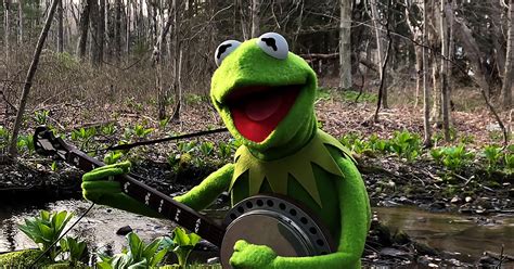 Kermit The Frog Sings ‘rainbow Connection Brings Back Heartwarming