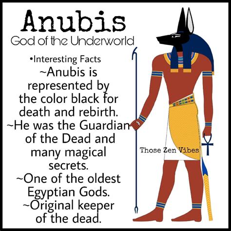 Anubis Egyptian God Of The Underworld And Guardian Of The Dead Anubis