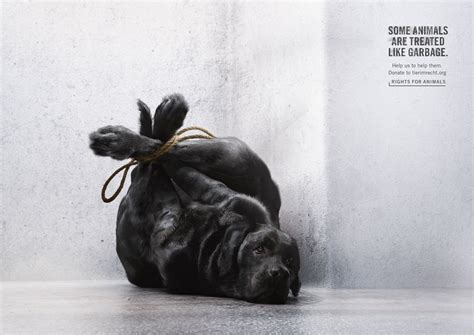 Foundation Tier Im Recht Dog Ads Of The World™ Creative