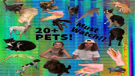 Meet All My Pets 20 Youtube