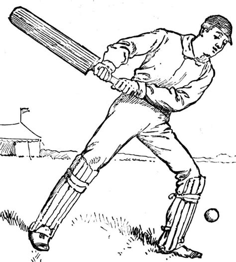 Free Cricket Coloring Pages Printable