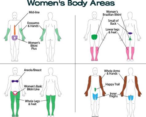 Laserhairremoval Zones For Women How Would You Like To Remove