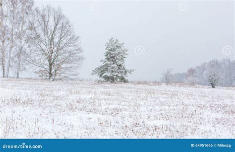 Winter Field Under Cloudy Gray Sky Stock Photo Image Of Cloud
