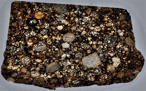 Scanned Meteorite Photomicrographs Flickr