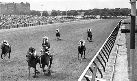 Buckpasser Takes The Win At The Aqueduct Racetrack 1967 William