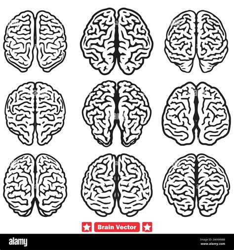 Thought Patterns Unveiled Varied Brain Vector Set for Psychiatry