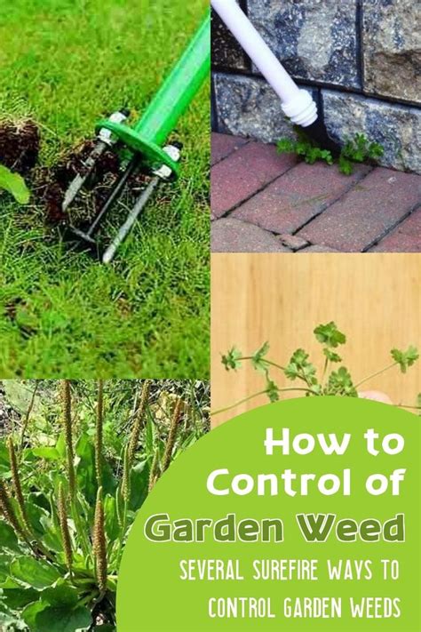 How To Keep Weeds Out Of Garden 101 Gardening Ideas Garden Weeds