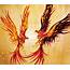 18 Phoenix Artworks  The Flaming Bird Design Inspiration PSD Collector