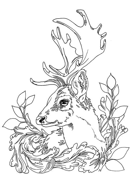 Deer are also known to have interesting appearances which differ from one species to another. Deer Adult Coloring Pages Printable Download JPG | Etsy