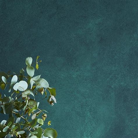 The style troubadour (« troubadour style ») was a somewhat derisive french term for earlier paintings of medieval and renaissance scenes, which were often. Explore a Large Range of Speciality Paint Finishes ...