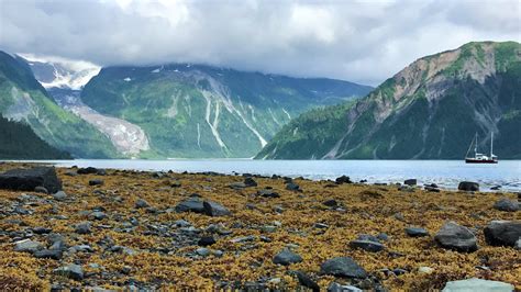Qilak Expeditions Haida Gwaii Queen Charlotte Islands