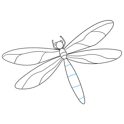 How To Draw A Dragonfly Really Easy Drawing Tutorial