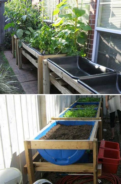 Garden Bed From 55 Gallon Barrel Drums 22 Ways For Growing A