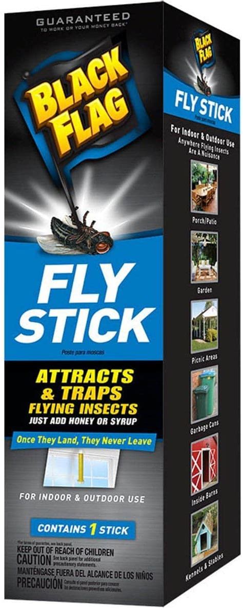 5 Best Fly Trap Reviews 2019 Insect Hobbyist
